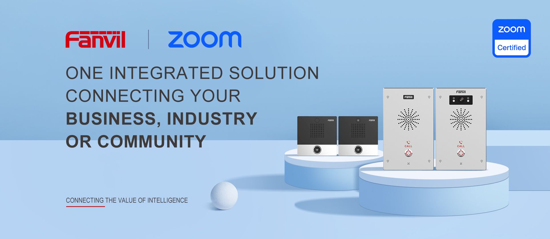 الحل Zoom