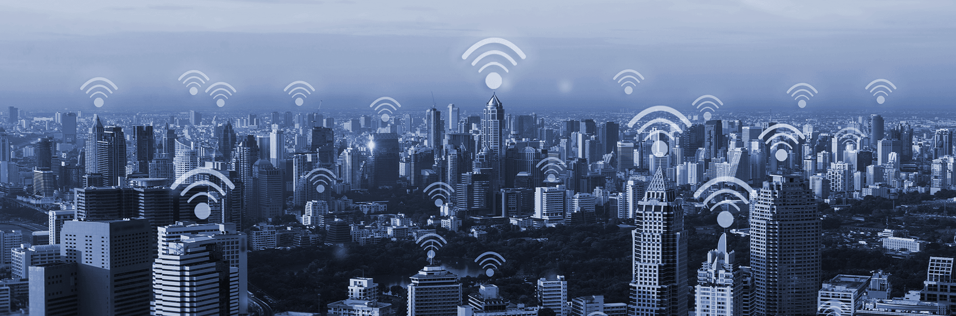 blog+wifi+case study+two+02.2018.png