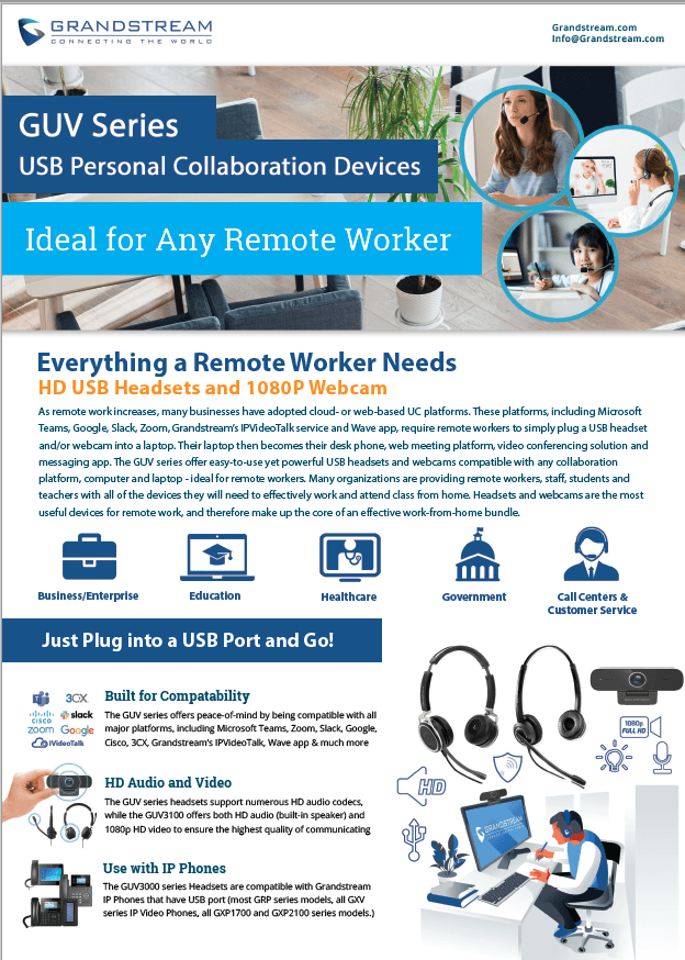 GUV Remote Worker Flyer