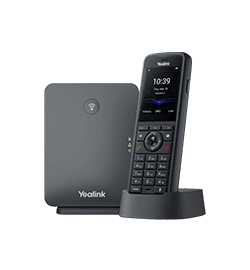 W79P Pro
